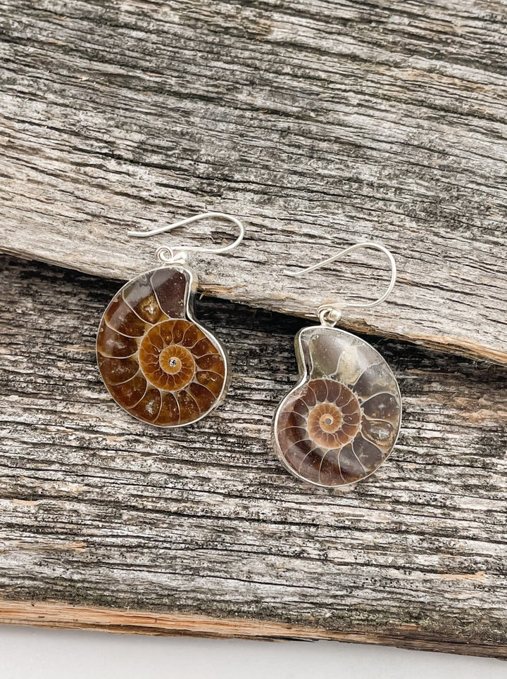 Sterling Silver Shell Earrings