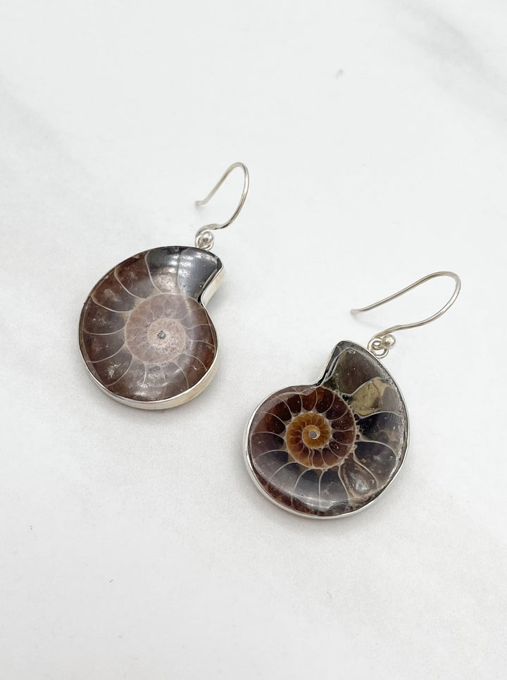 Sterling Silver Shell Earrings